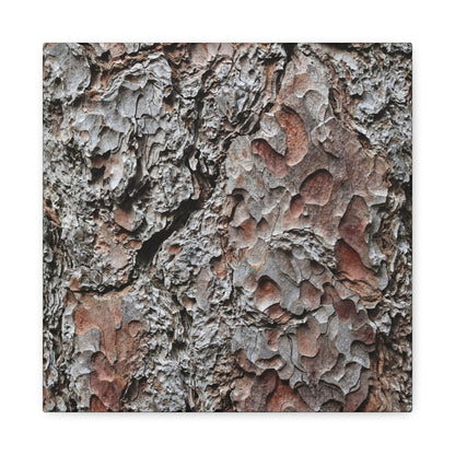 Textured Whispers of Bark - Unique Frameless Canvas Wall Art - Art By Earth