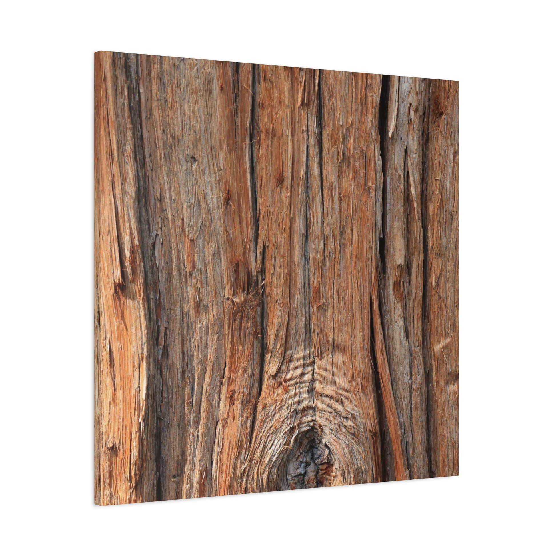 Bark's Ancient Whispers - Unique Frameless Canvas Wall Art - Art By Earth