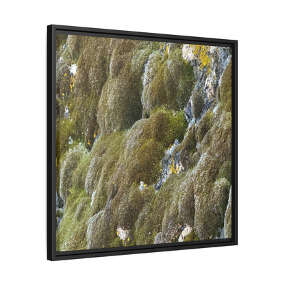 Moss Symphony - Unique Stretched Canvas Wall Art