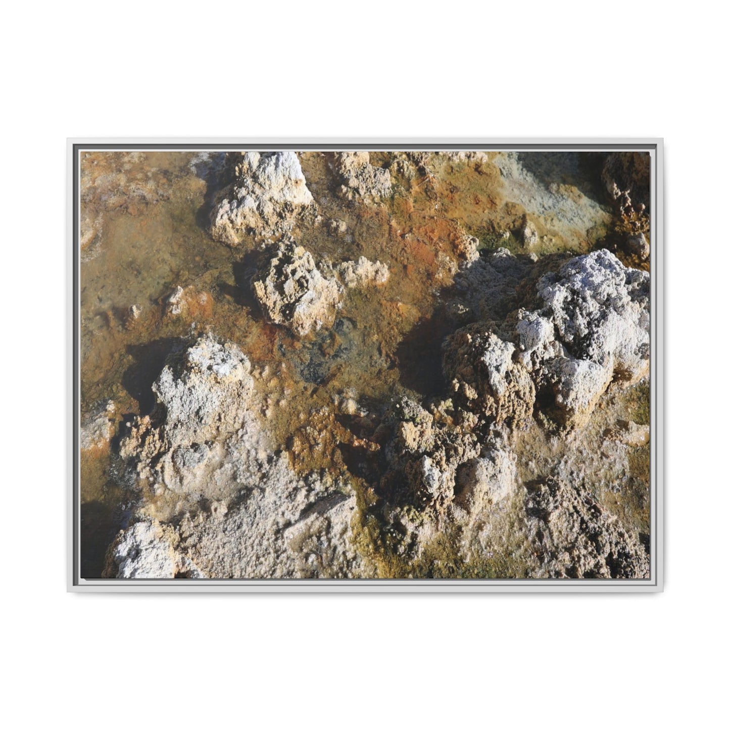 Textural Metamorphosis - Unique Stretched Canvas Wall Art