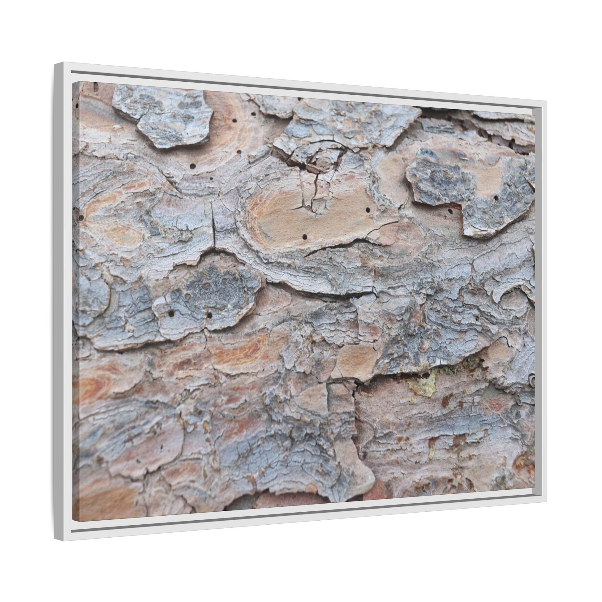 Peeling Memories - Unique Stretched Canvas Wall Art - Art By Earth