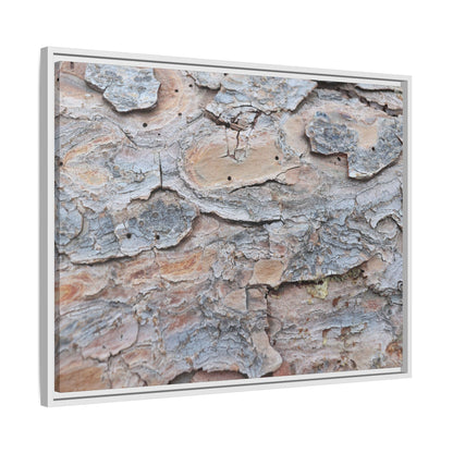 Peeling Memories - Unique Stretched Canvas Wall Art - Art By Earth