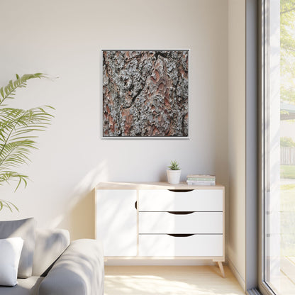 Bark Texture Symphony - Unique Stretched Canvas Wall Art - Art By Earth