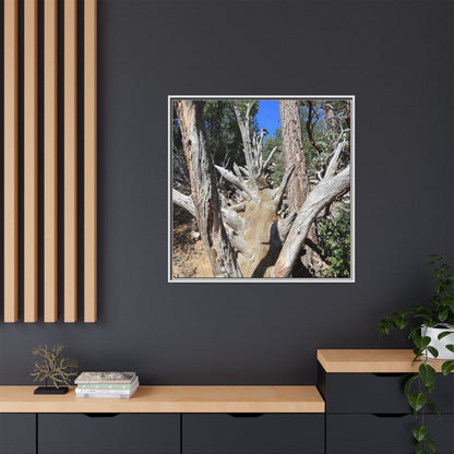 Forest Sentinels - Unique Stretched Canvas Wall Art