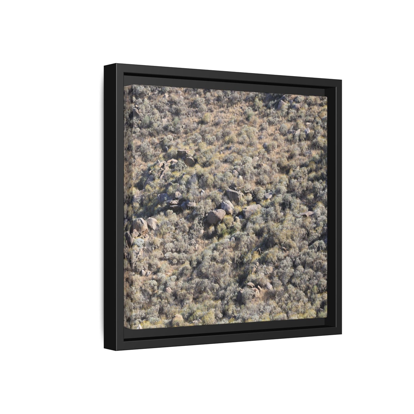 Arid Terrain Study - Unique Stretched Canvas Wall Art - Art By Earth