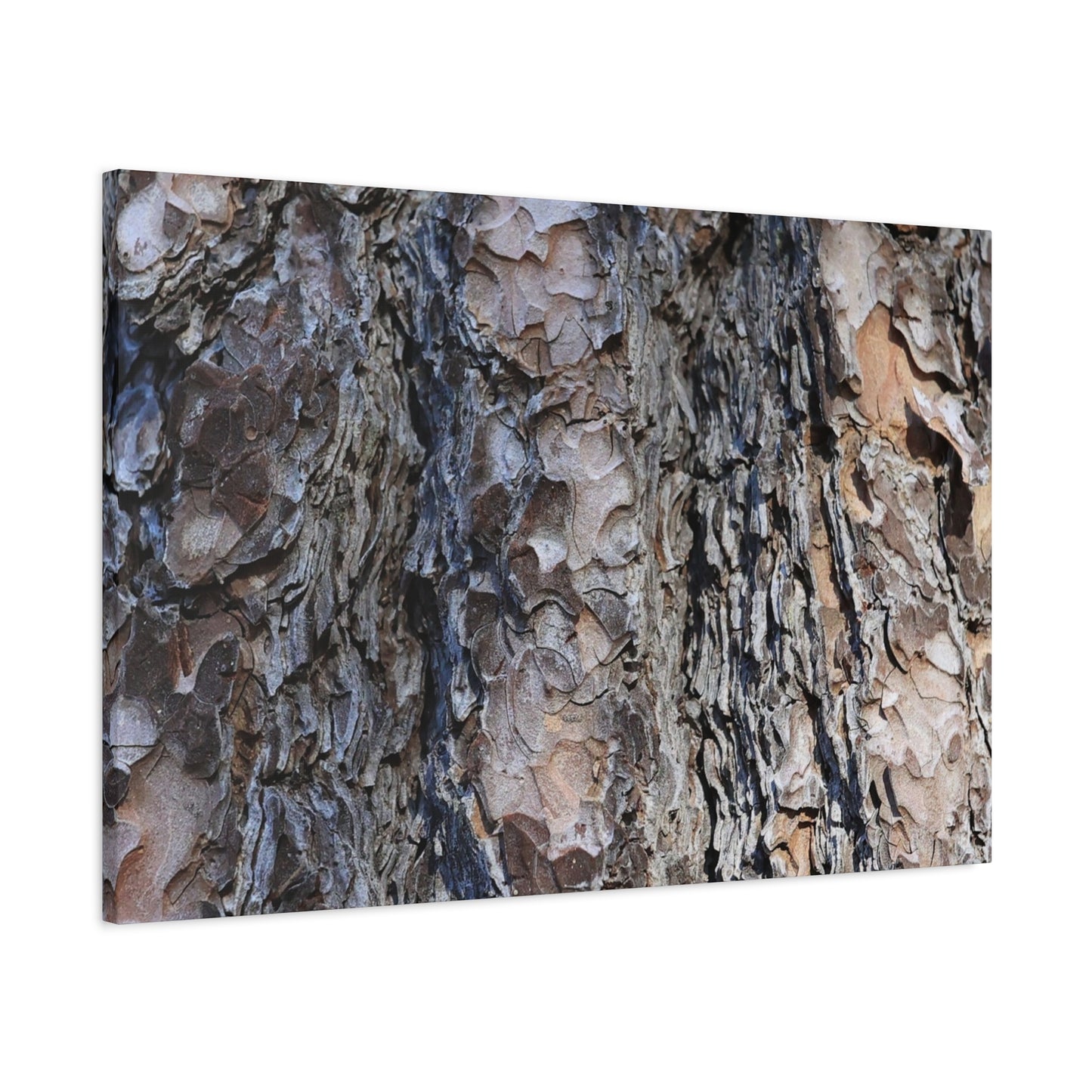 Bark's Rugged Symphony - Unique Frameless Canvas Wall Art - Art By Earth
