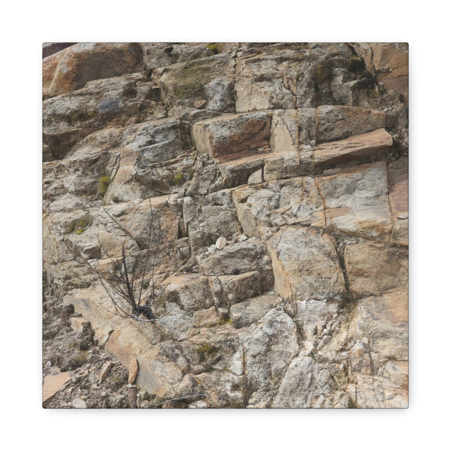Broken Rock Canvas - Unique Frameless Canvas Wall Art - Art By Earth