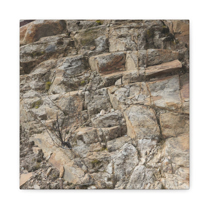 Broken Rock Canvas - Unique Frameless Canvas Wall Art - Art By Earth