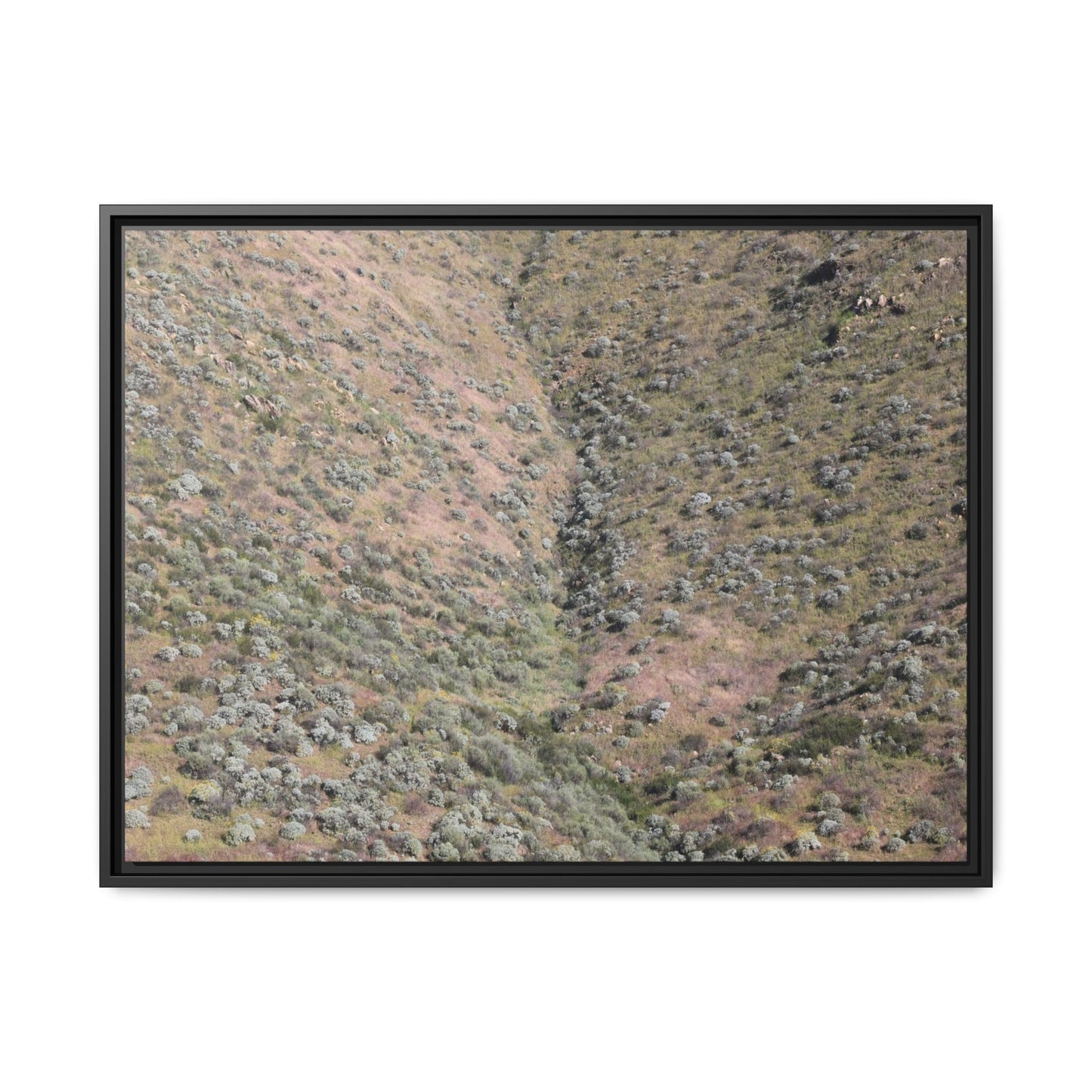 Mountain Slope with Desert Vegetation - Unique Stretched Canvas Wall Art - Art By Earth