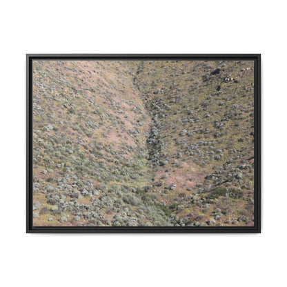 Mountain Slope with Desert Vegetation - Unique Stretched Canvas Wall Art - Art By Earth