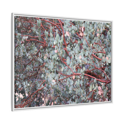 Whispers of Sage - Unique Stretched Canvas Wall Art - Art By Earth