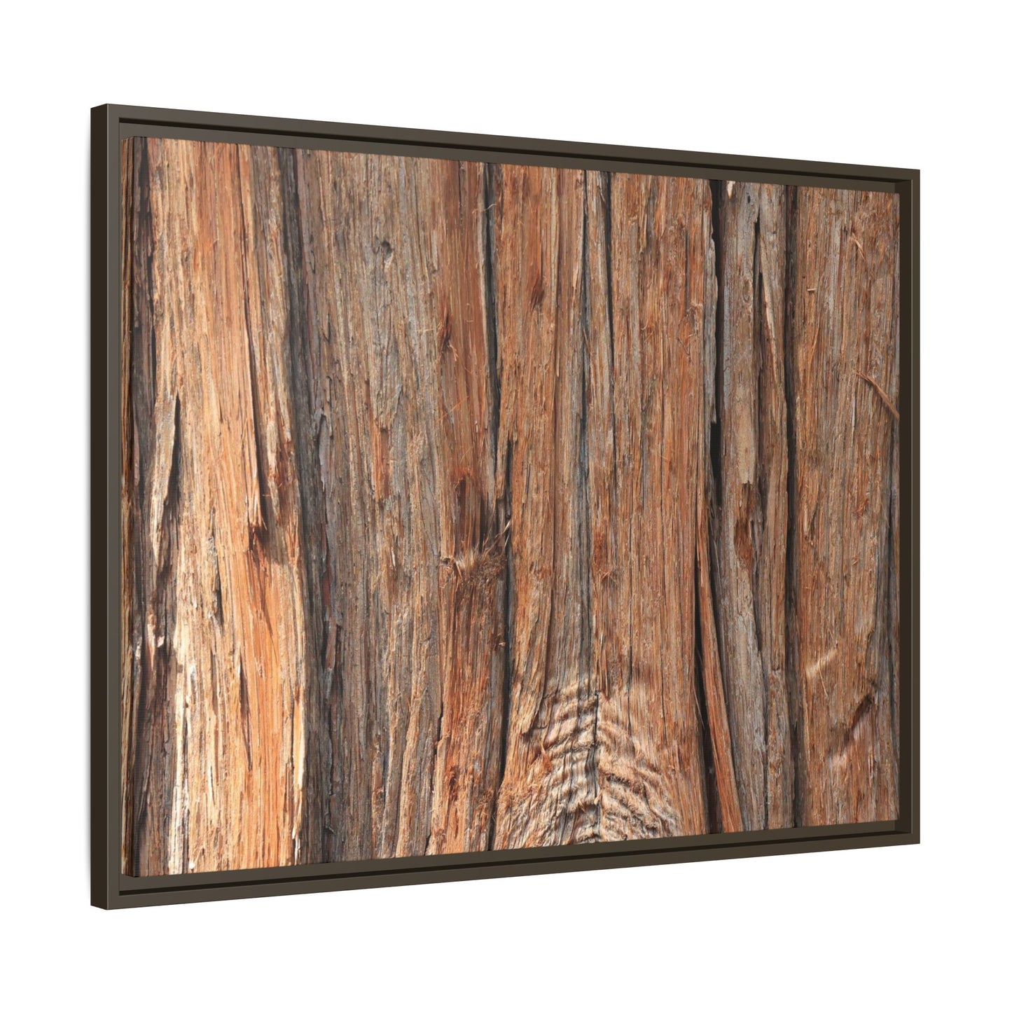 Echoes of Timber - Unique Stretched Canvas Wall Art - Art By Earth