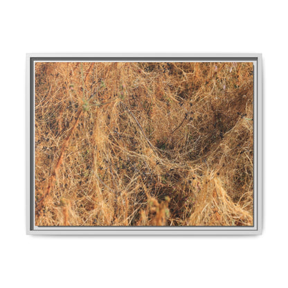Dried Vegetation Study - Unique Stretched Canvas Wall Art - Art By Earth