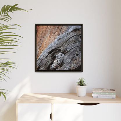 Time's Mark on Timber - Unique Stretched Canvas Wall Art - Art By Earth