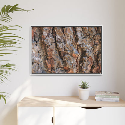 Craggy Textures - Unique Stretched Canvas Wall Art - Art By Earth