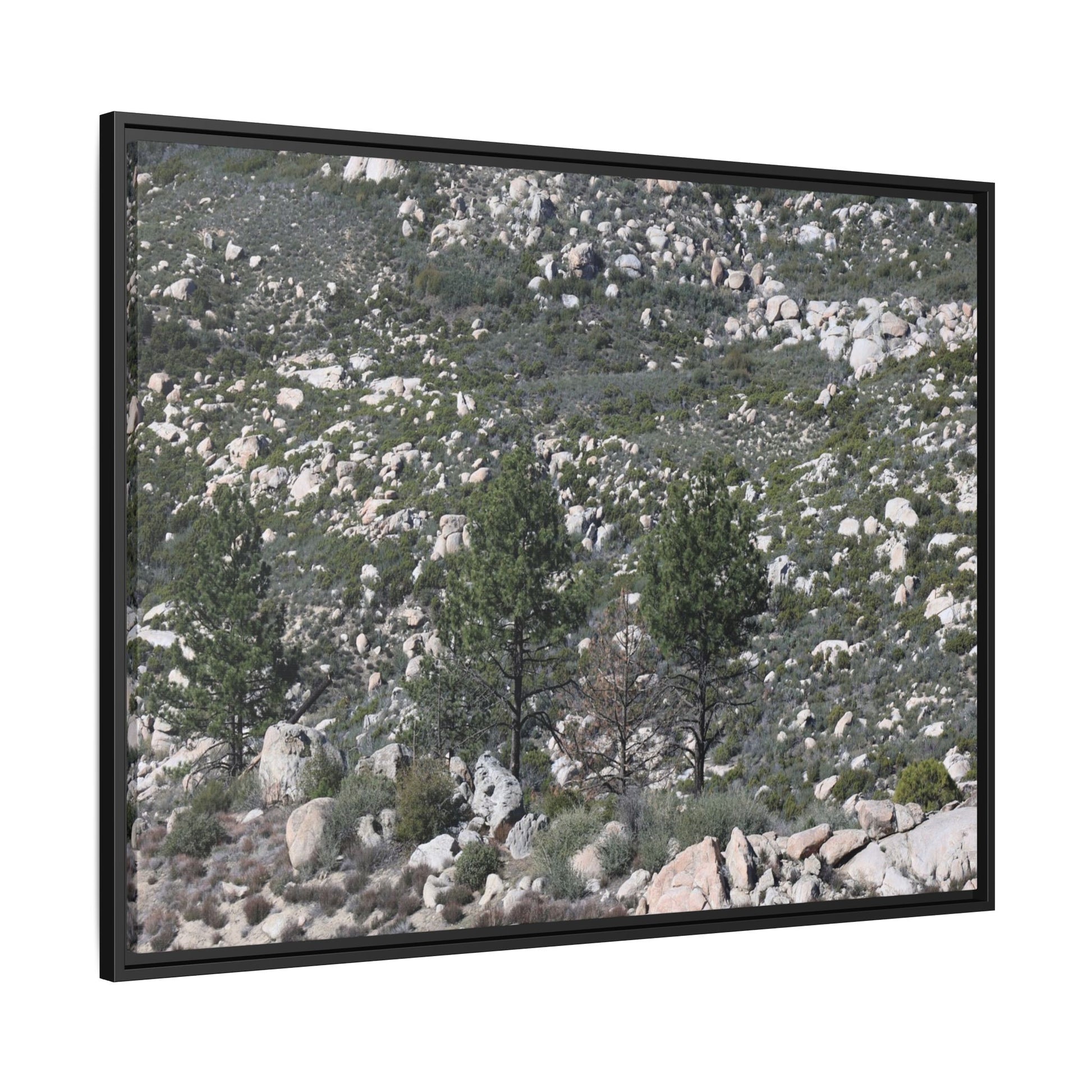 Rocky Hillside with Pine Trees - Unique Stretched Canvas Wall Art - Art By Earth
