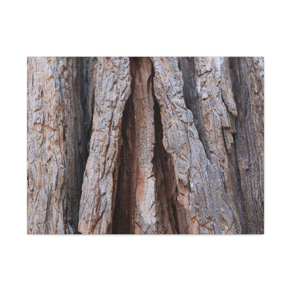 Fractured Skin of Time - Unique Frameless Canvas Wall Art - Art By Earth