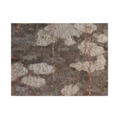 Earthen Memoir - Unique Frameless Canvas Wall Art - Art By Earth