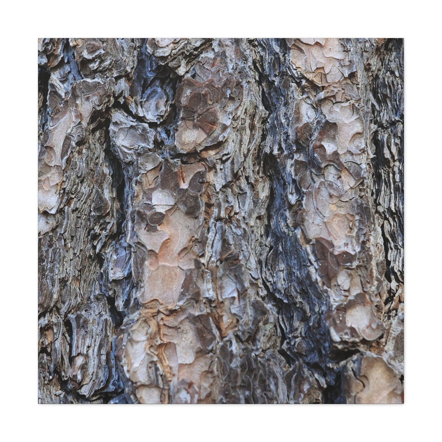 Arboreal Patterns - Unique Frameless Canvas Wall Art - Art By Earth