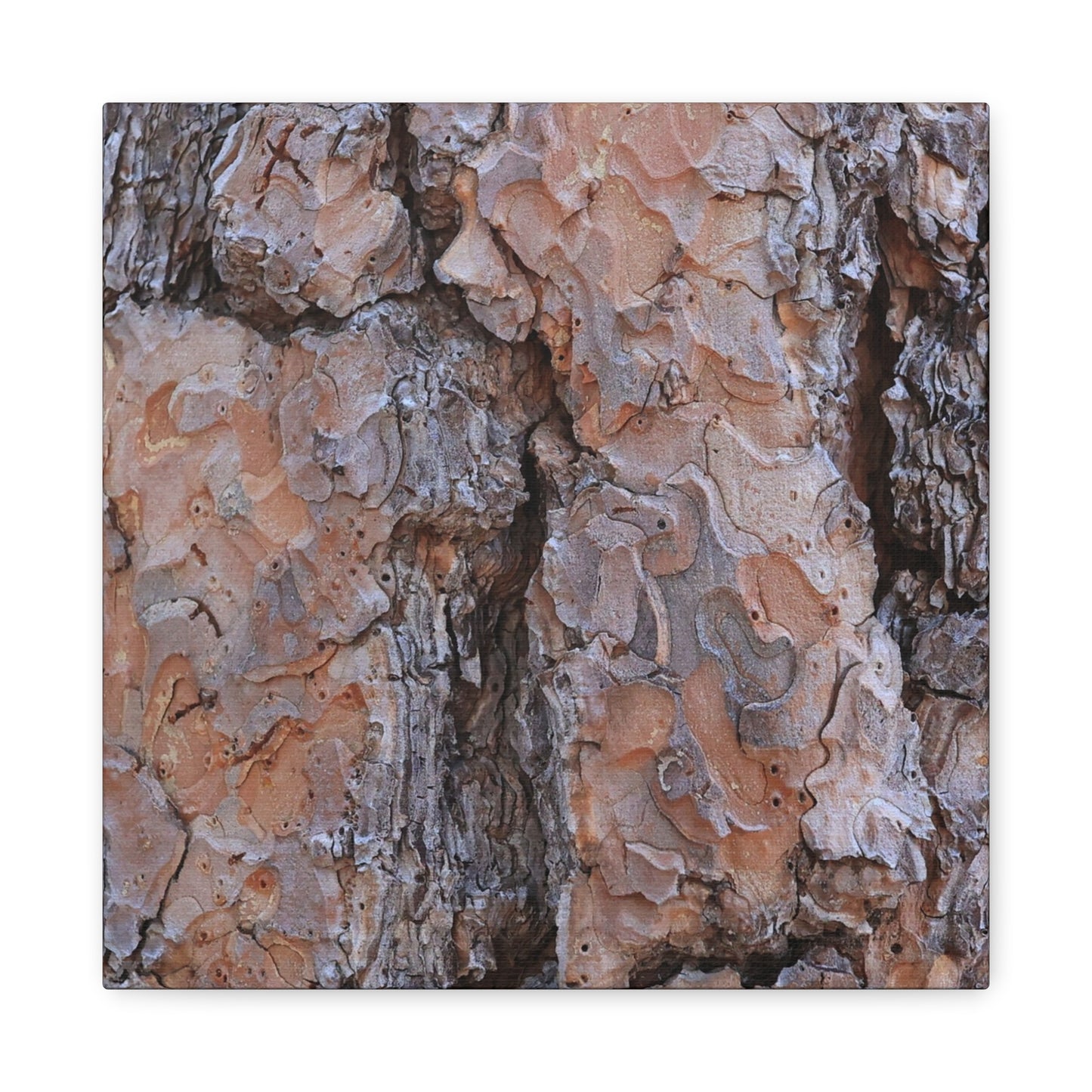 Arboreal Armor - Unique Frameless Canvas Wall Art - Art By Earth