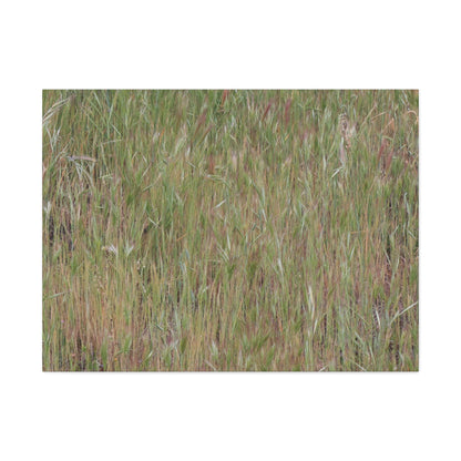 Whispers of the Prairie - Unique Frameless Canvas Wall Art - Art By Earth