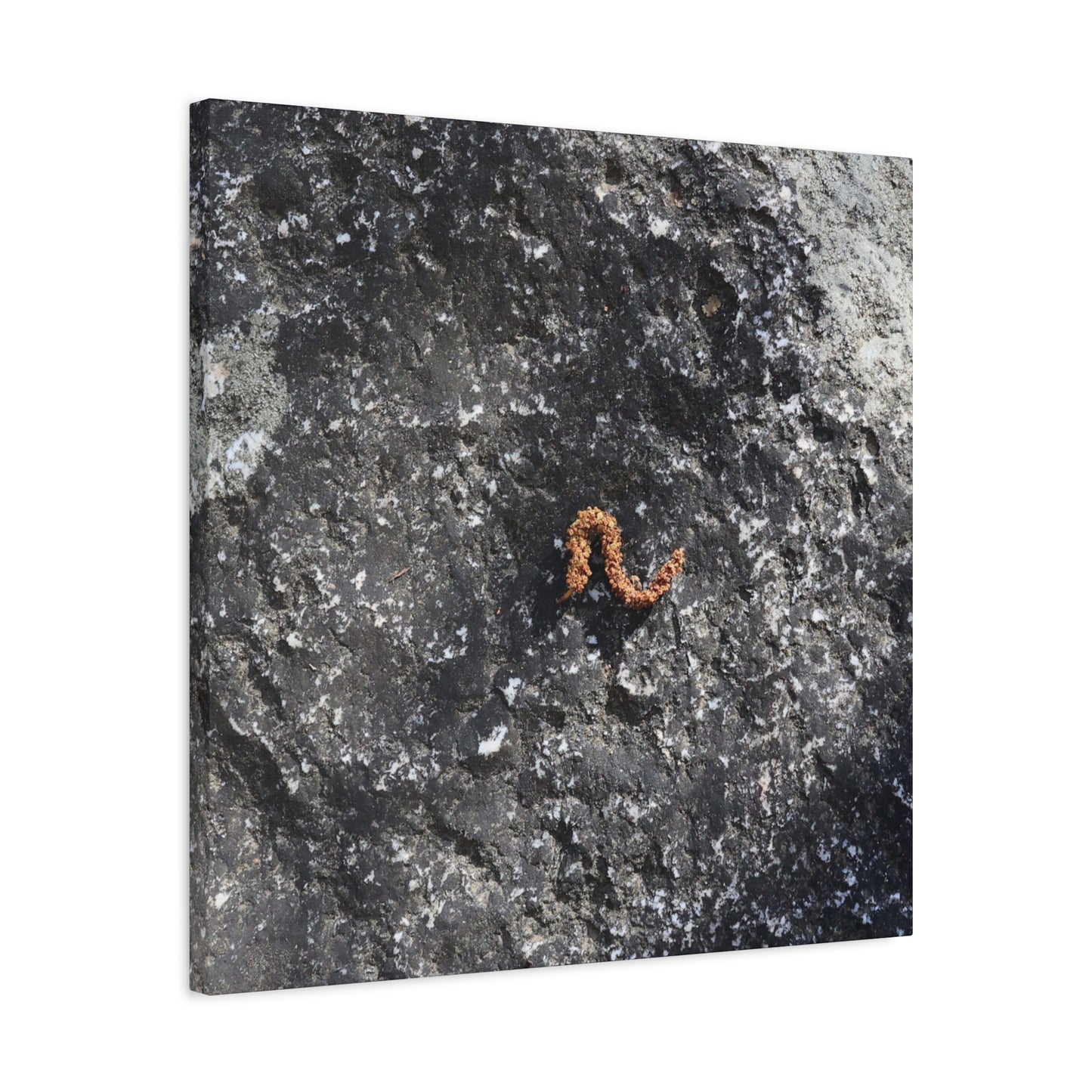 Earthen Serpent - Unique Frameless Canvas Wall Art - Art By Earth