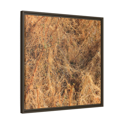 Dried Vegetation Study - Unique Stretched Canvas Wall Art - Art By Earth