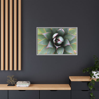 Spiky Elegance - Unique Stretched Canvas Wall Art - Art By Earth
