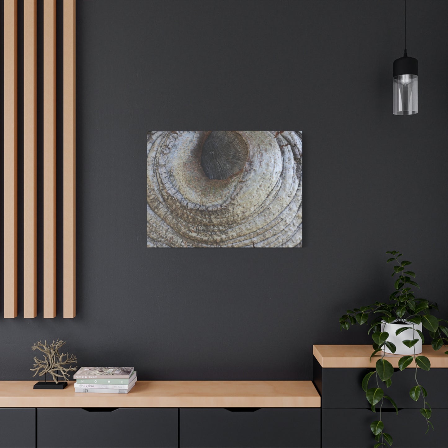 Bark's Eye - Unique Frameless Canvas Wall Art - Art By Earth