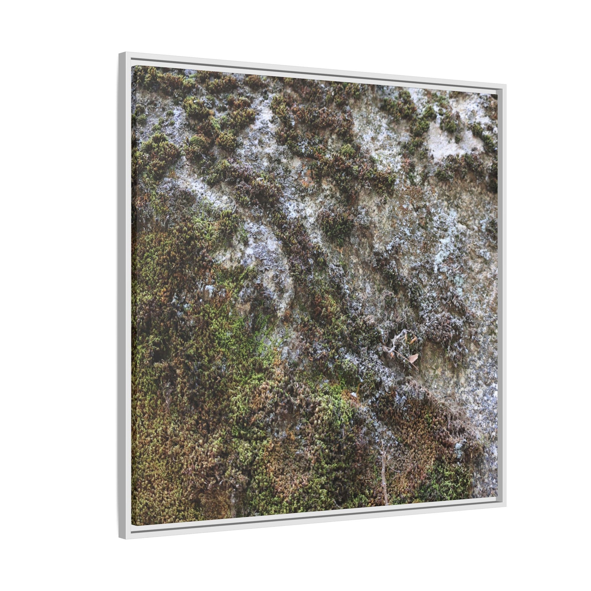 Mossy Whispers - Unique Stretched Canvas Wall Art - Art By Earth