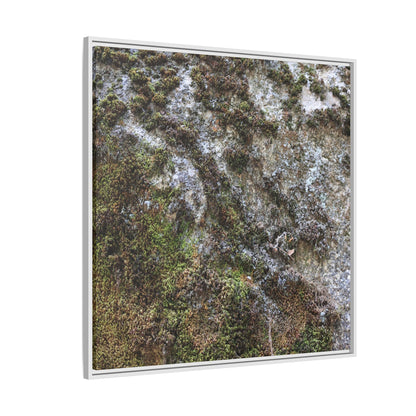 Mossy Whispers - Unique Stretched Canvas Wall Art - Art By Earth