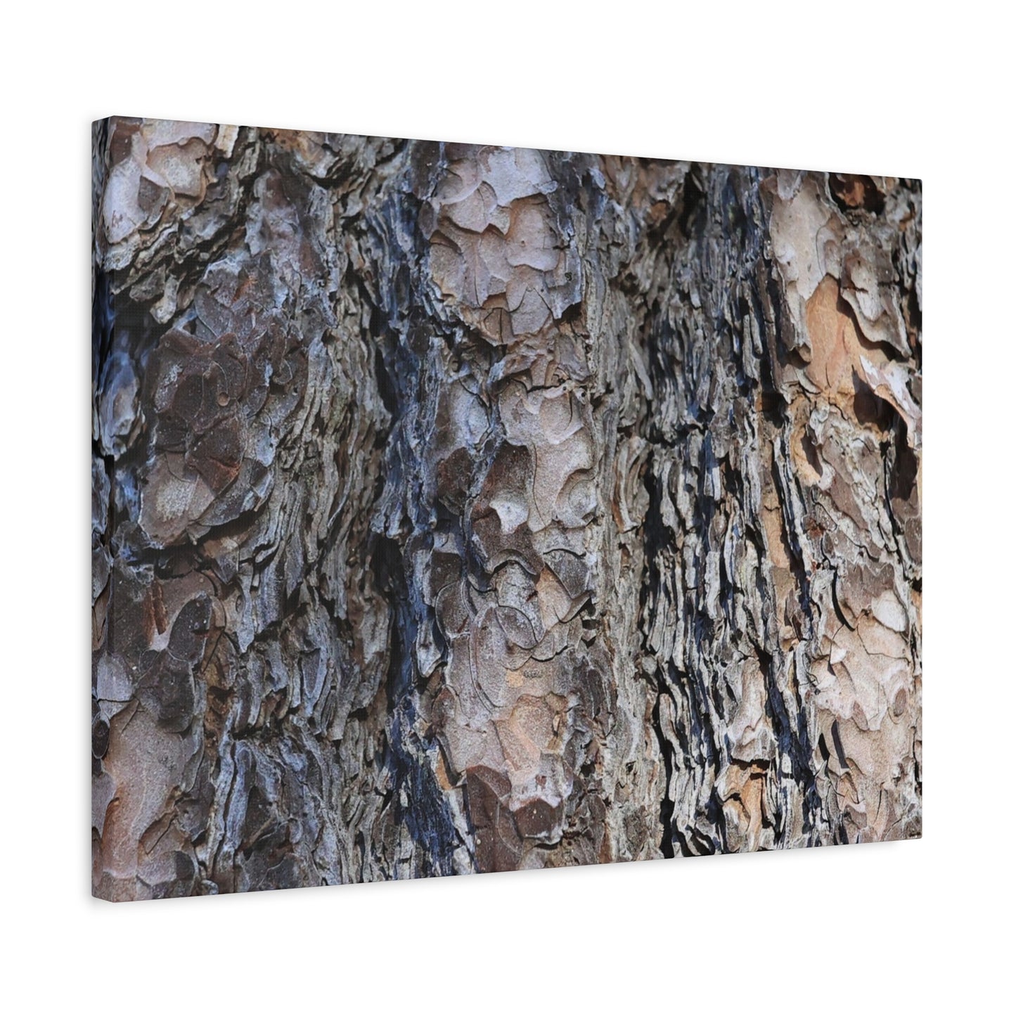 Bark's Rugged Symphony - Unique Frameless Canvas Wall Art - Art By Earth