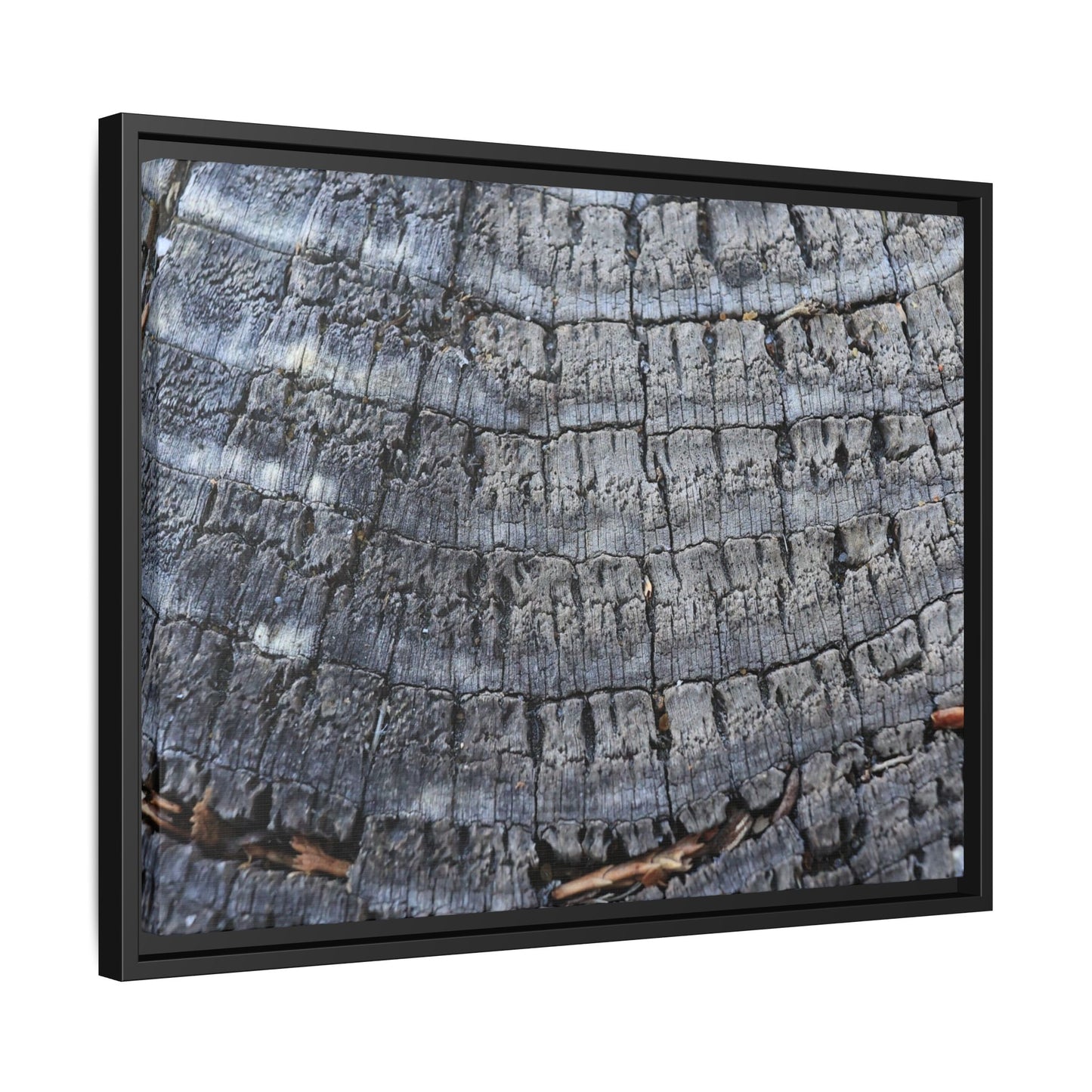 Charred Memories - Unique Stretched Canvas Wall Art - Art By Earth