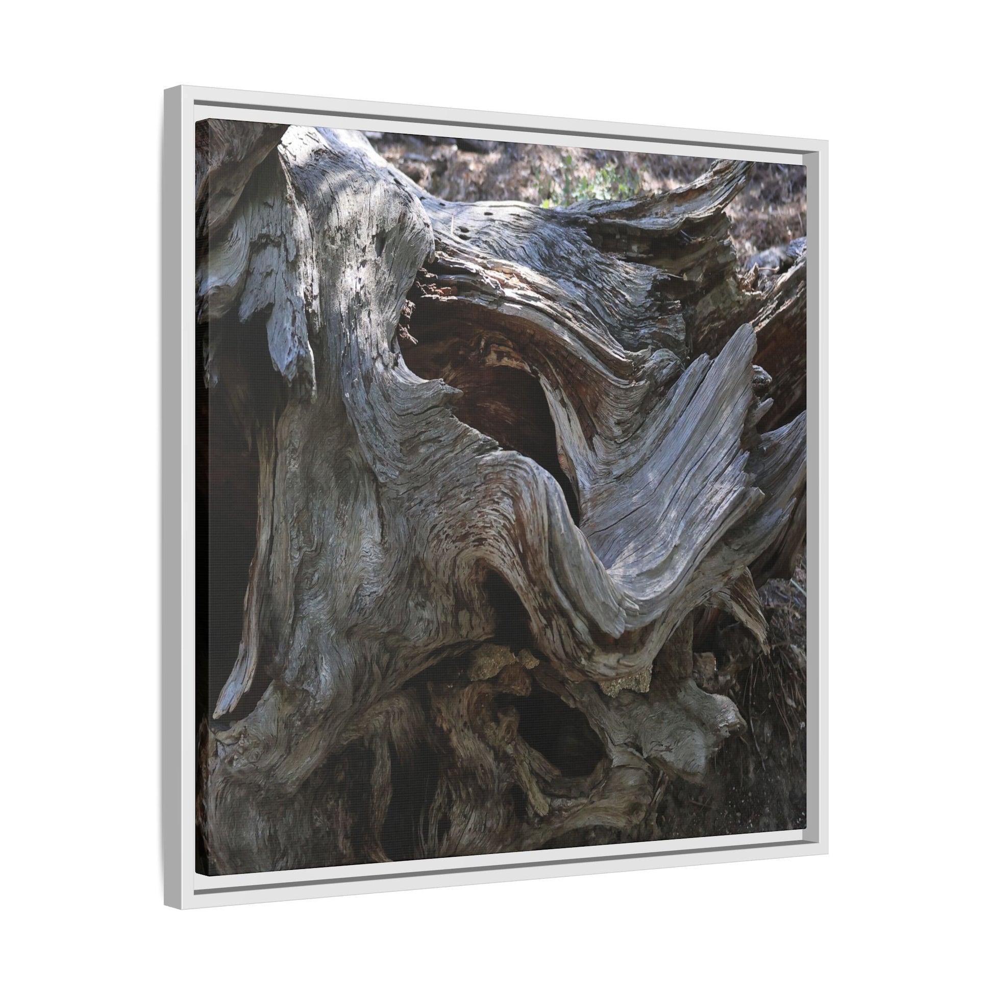 Twisted Memories - Unique Stretched Canvas Wall Art - Art By Earth