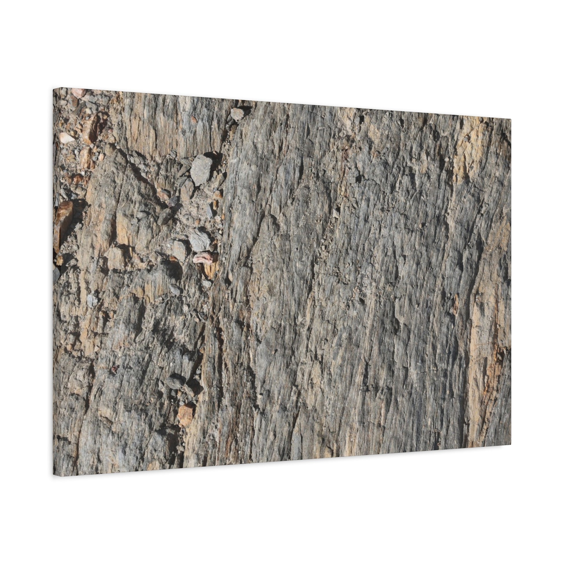 Bark Echoes - Unique Frameless Canvas Wall Art - Art By Earth