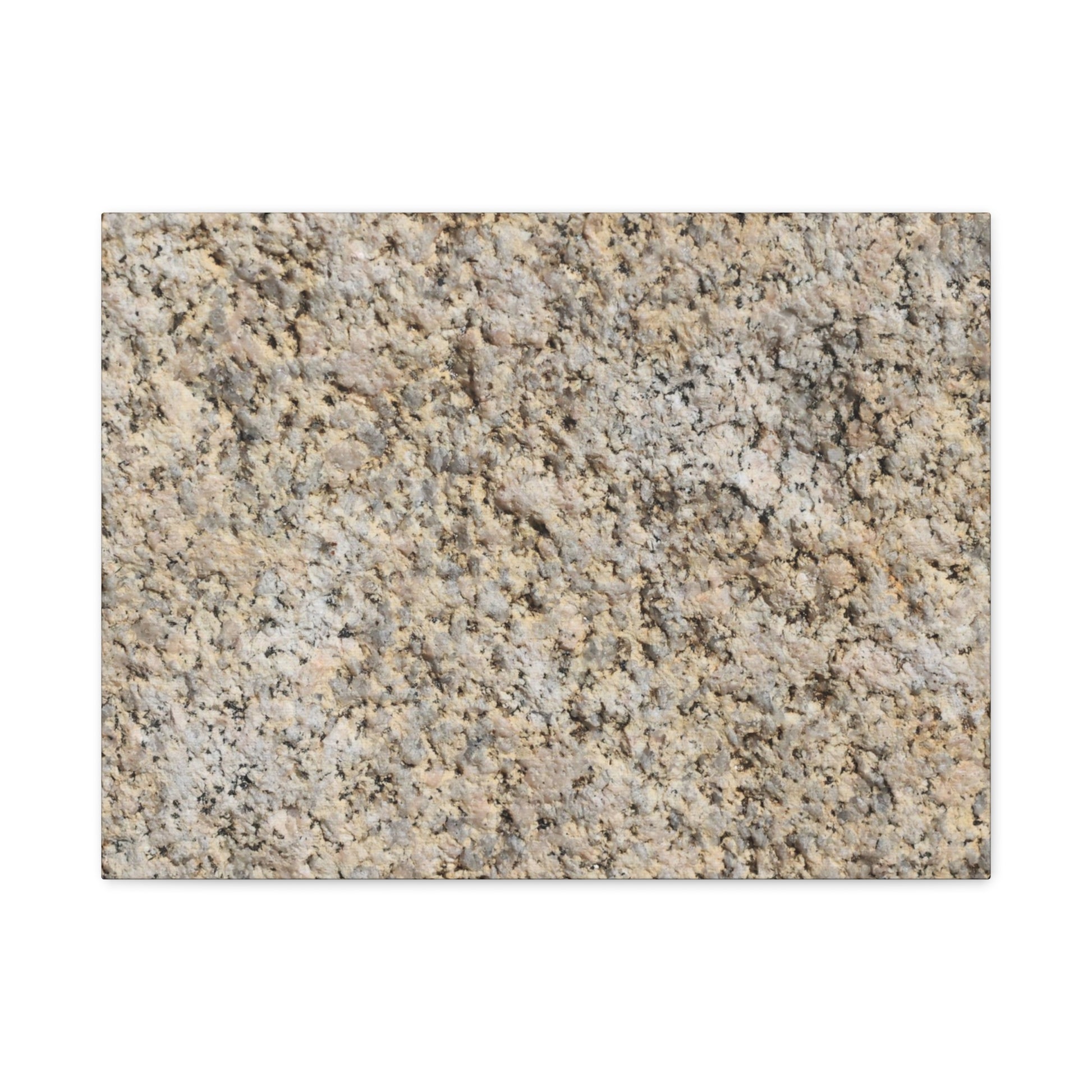 Granular Echoes - Unique Frameless Canvas Wall Art - Art By Earth