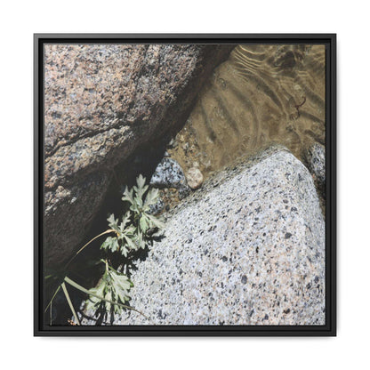 Resilience in Stone - Unique Stretched Canvas Wall Art - Art By Earth