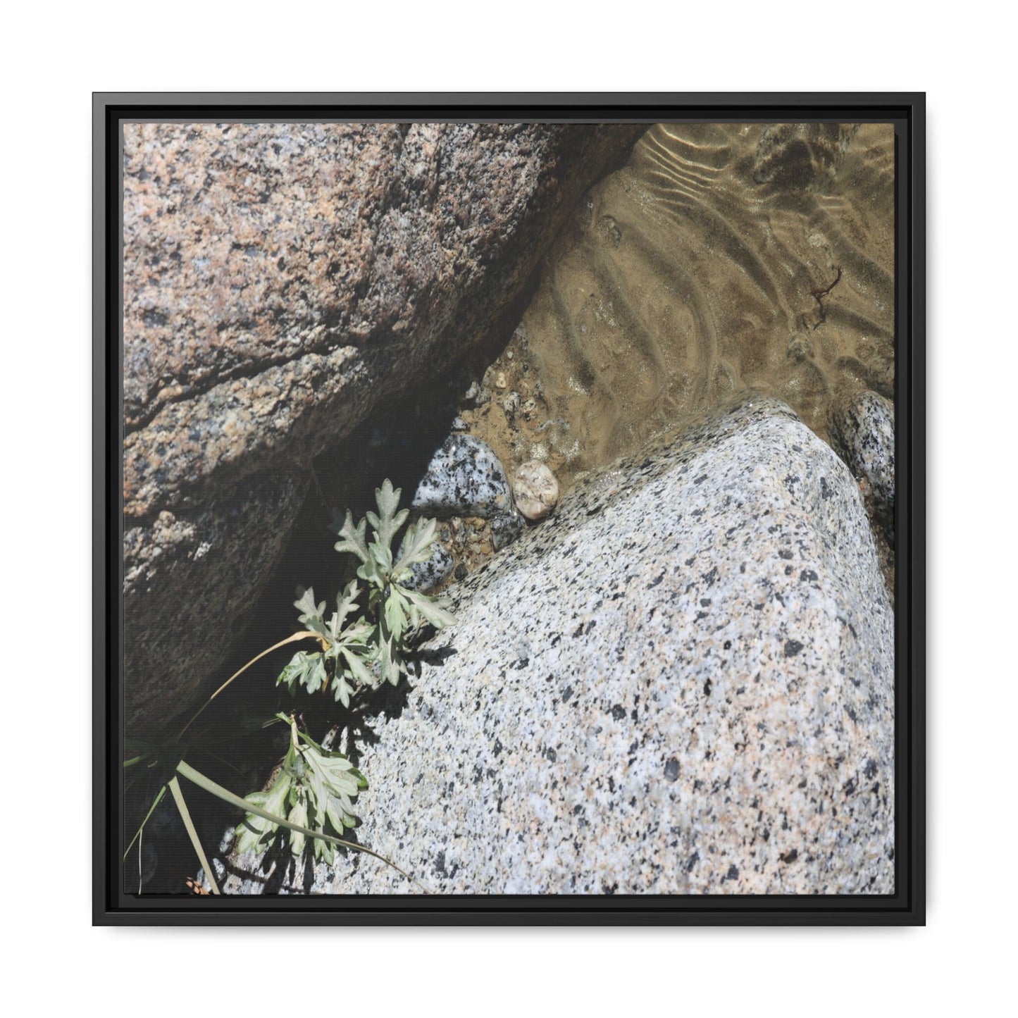 Resilience in Stone - Unique Stretched Canvas Wall Art - Art By Earth