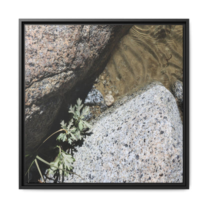 Resilience in Stone - Unique Stretched Canvas Wall Art - Art By Earth