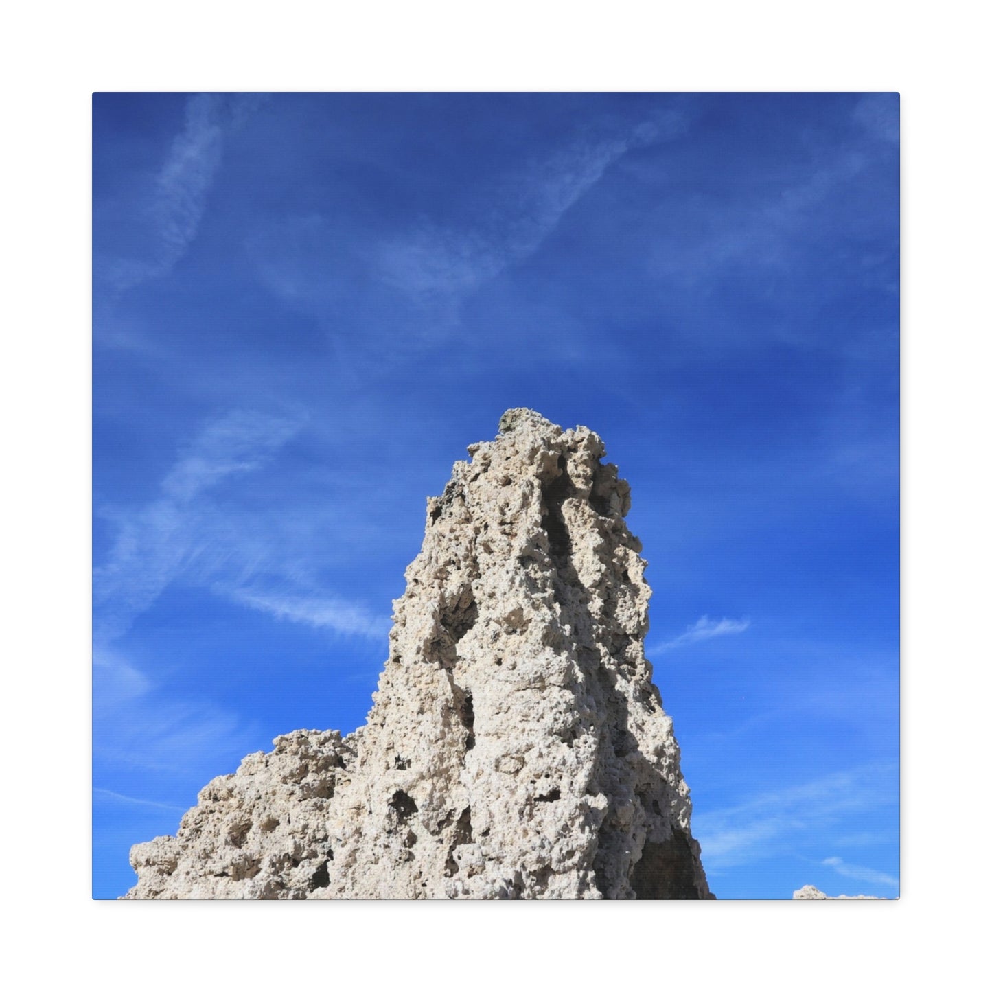 Reaching Skyward - Unique Frameless Canvas Wall Art