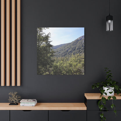 Mountain Vista Through Forest - Unique Frameless Canvas Wall Art