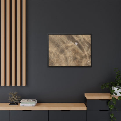 Underwater Sand Exploration - Unique Stretched Canvas Wall Art - Art By Earth
