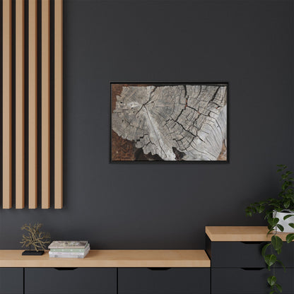 Time's Signature - Unique Stretched Canvas Wall Art - Art By Earth