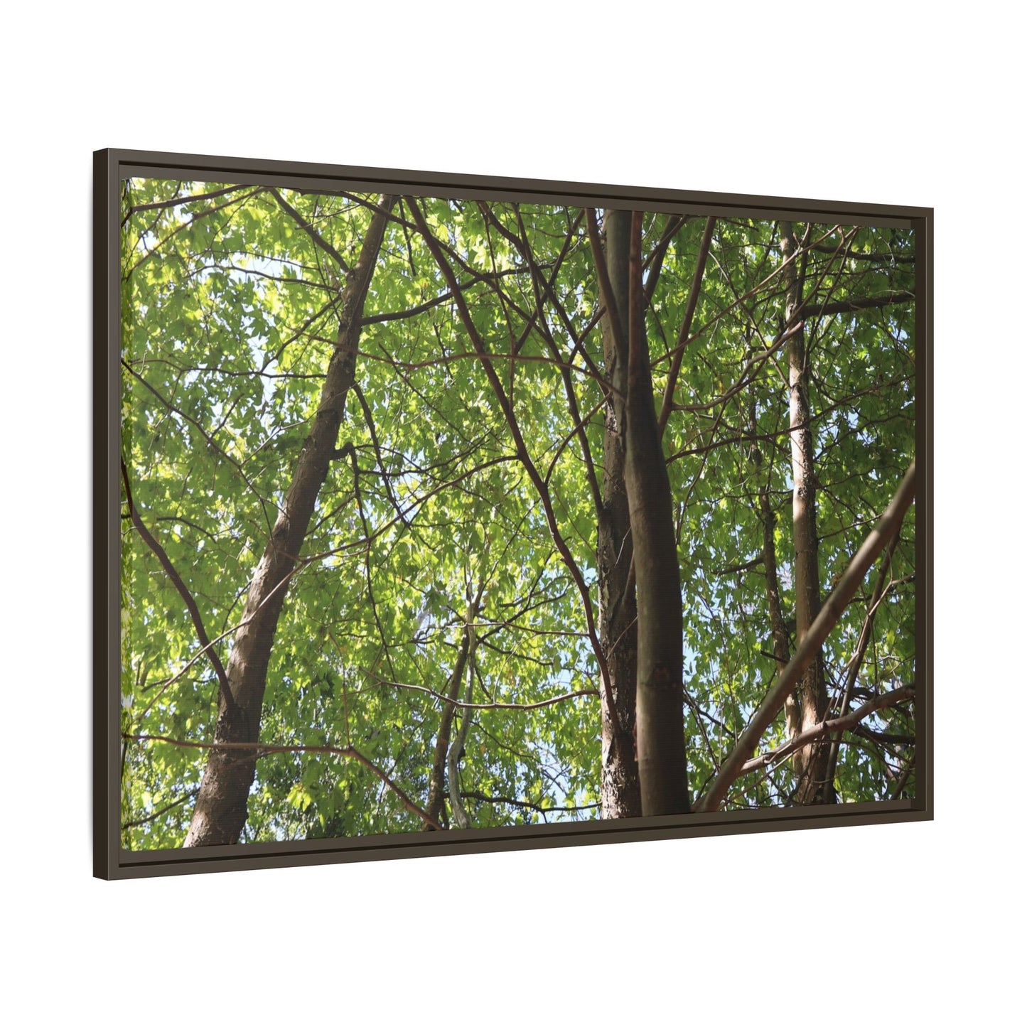 Forest Branches - Unique Stretched Canvas Wall Art