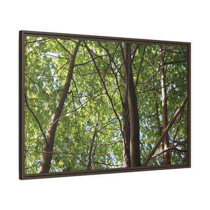 Forest Branches - Unique Stretched Canvas Wall Art