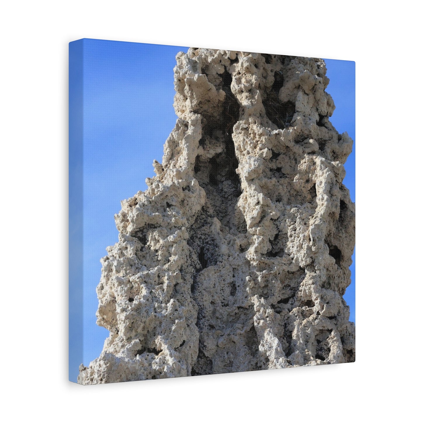 Calcified Whispers - Unique Frameless Canvas Wall Art