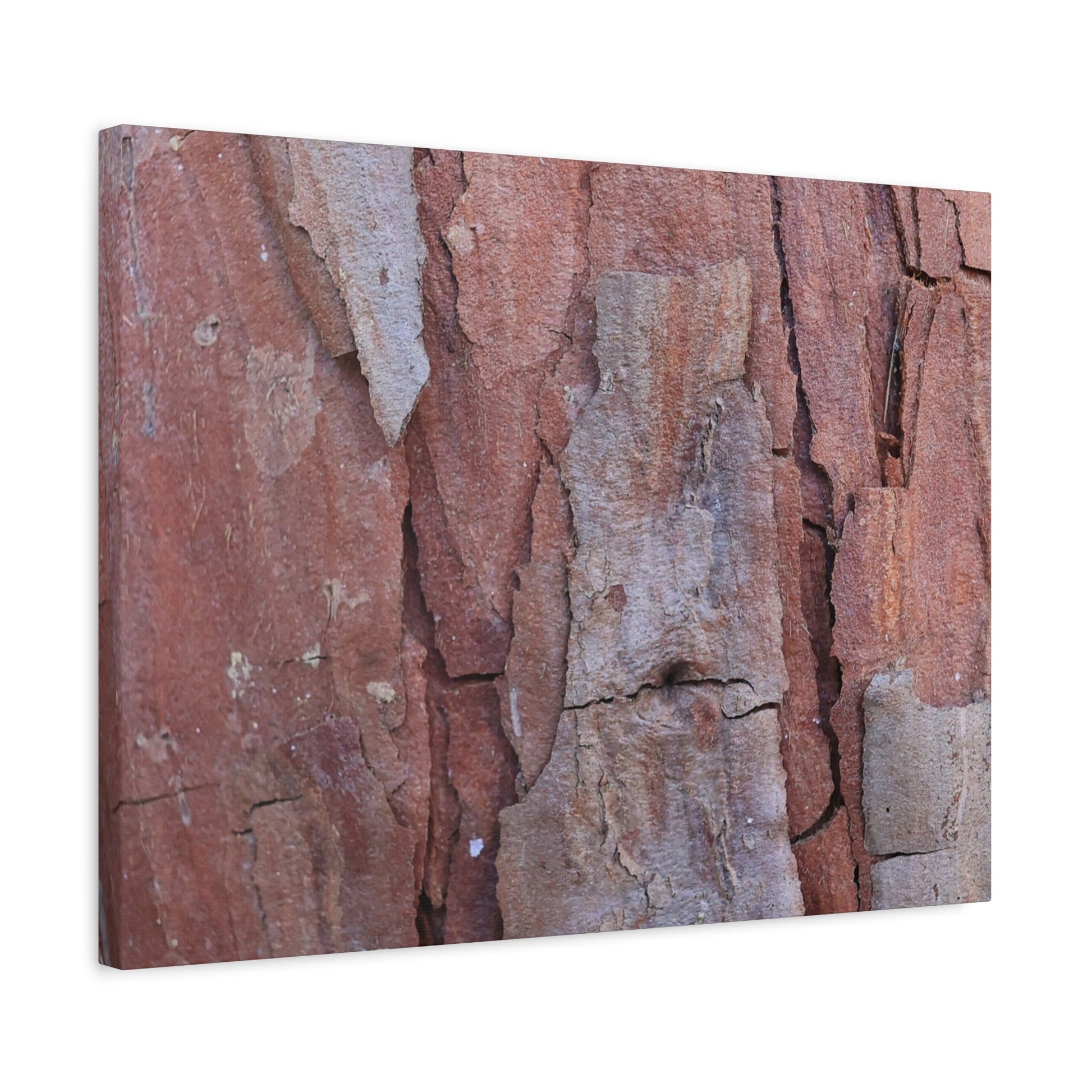 Fractal Rust - Unique Frameless Canvas Wall Art - Art By Earth