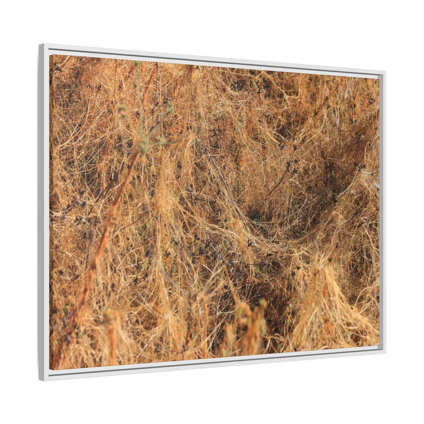 Dried Vegetation Study - Unique Stretched Canvas Wall Art - Art By Earth