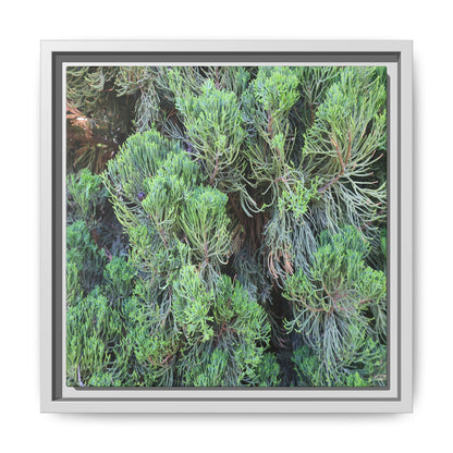 Verdant Whispers - Unique Stretched Canvas Wall Art - Art By Earth