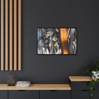 Burnt Trees and Golden Trunk - Unique Stretched Canvas Wall Art